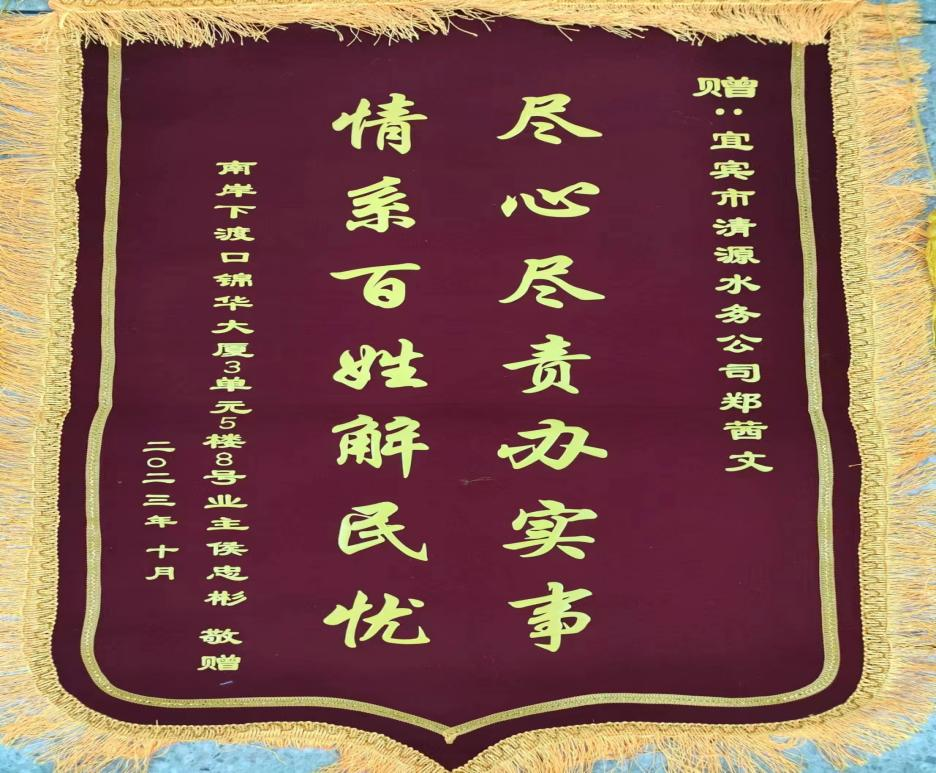 盡心盡責(zé)辦實(shí)事，為民解憂獲贊揚(yáng)